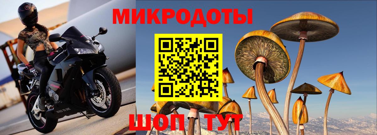 Псилоцибиновые грибы MAGIC MUSHROOMS Ивантеевка
